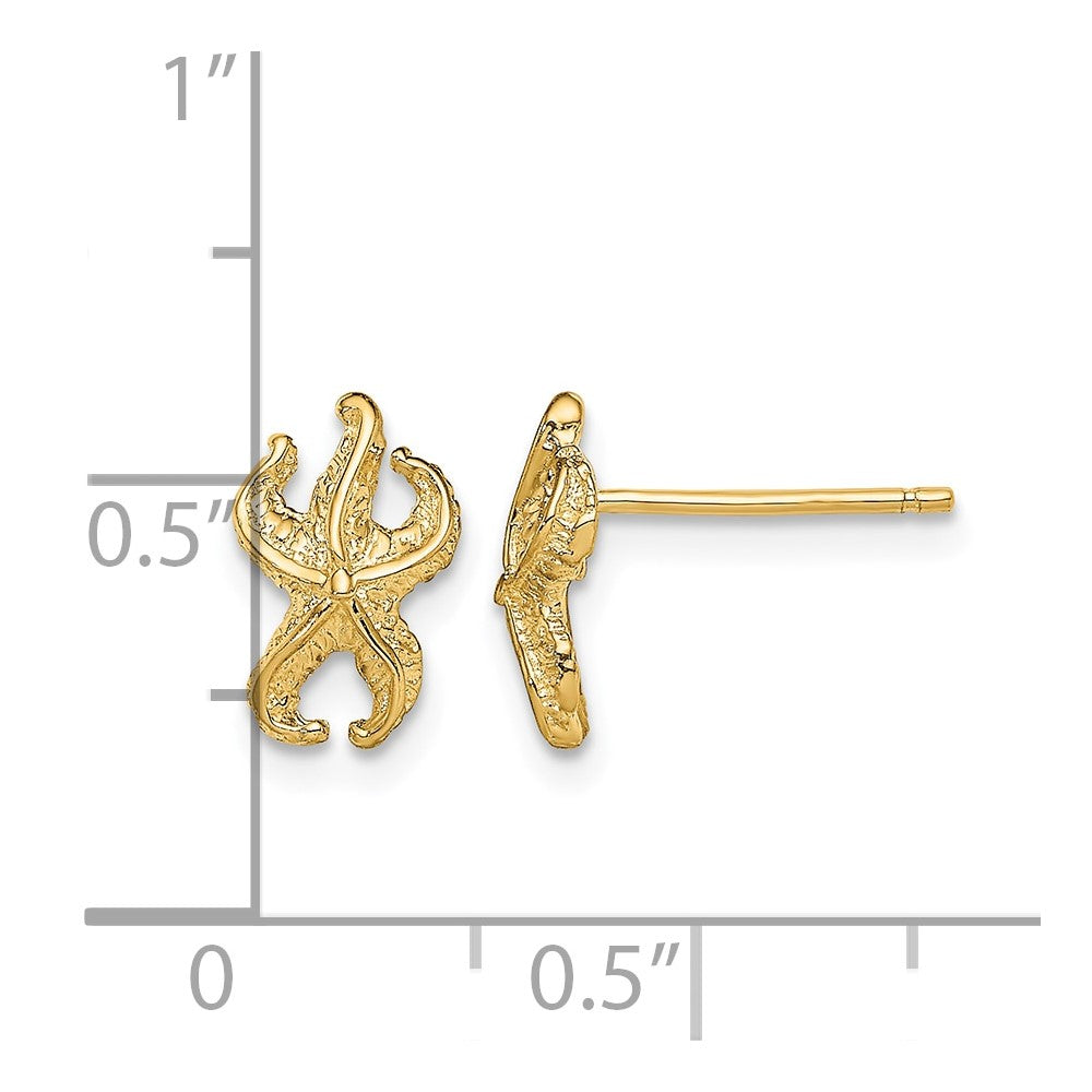 10k Starfish Post Earrings