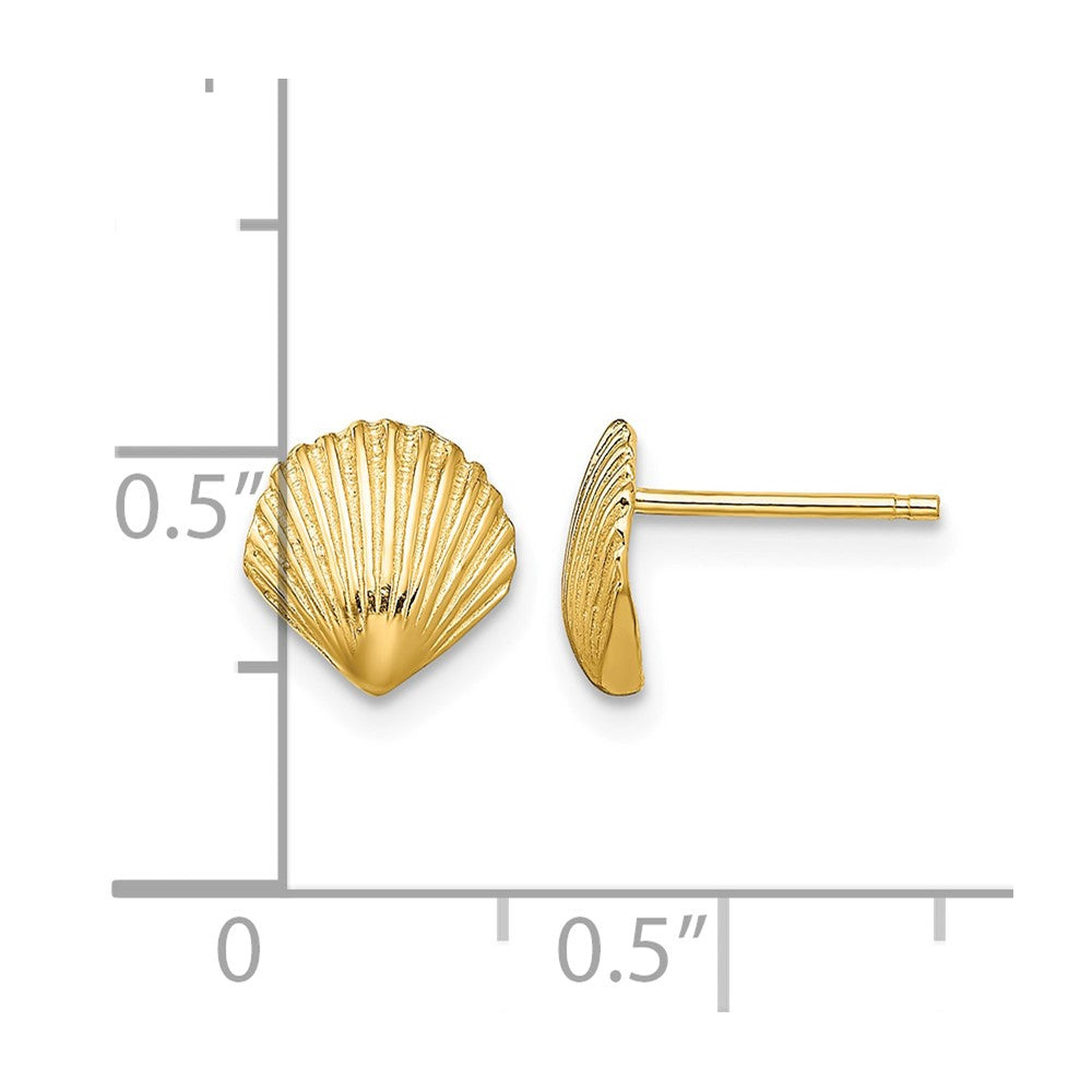 10K Scallop Shell Post Earrings