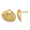 10K Clam Shell Post Earrings