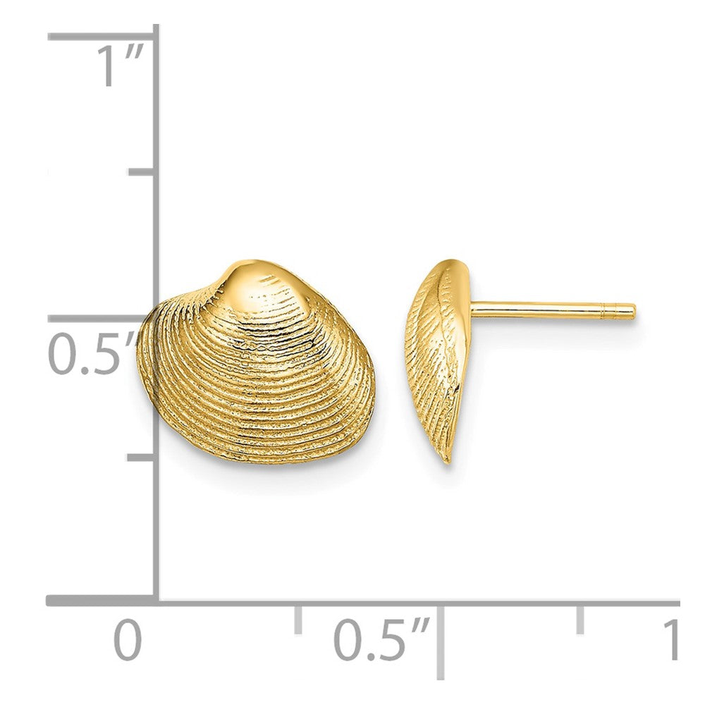 10K Clam Shell Post Earrings