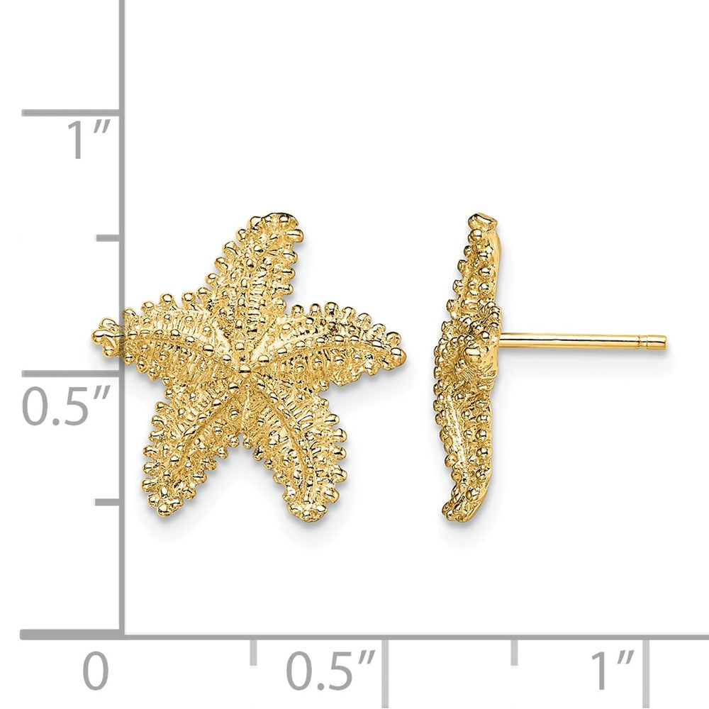10K Textured Beaded Starfish Post Earrings