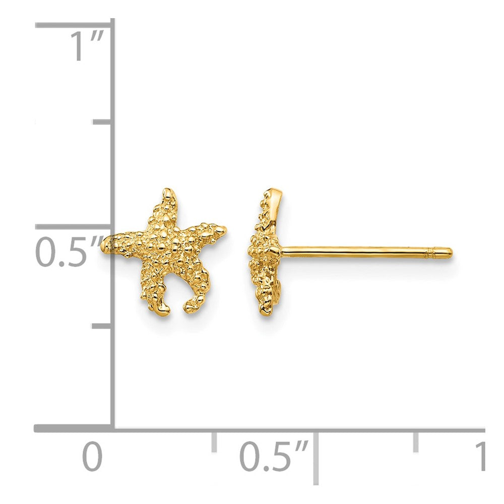 10K Polished Textured Starfish Post Earrings