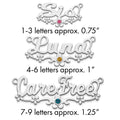 10k WG with 14k Rhod-plated Bezel Birthstone Flower Name Plate