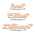 10k Rose Gold Name Plate