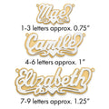 10k 3D Two-tone Polished Name Plate