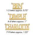 10k Yellow Gold Underlined Name Plate