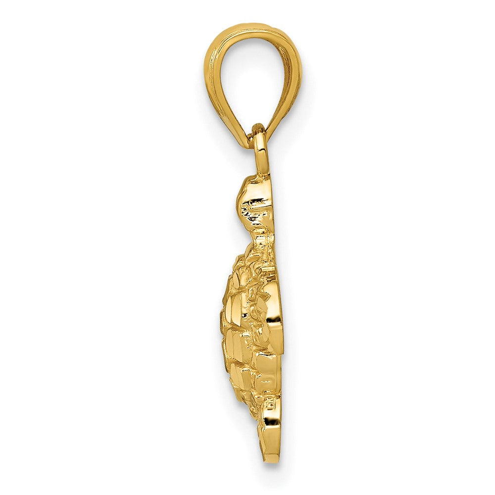10k Gold Polished & Textured Small DC Turtle Pendant