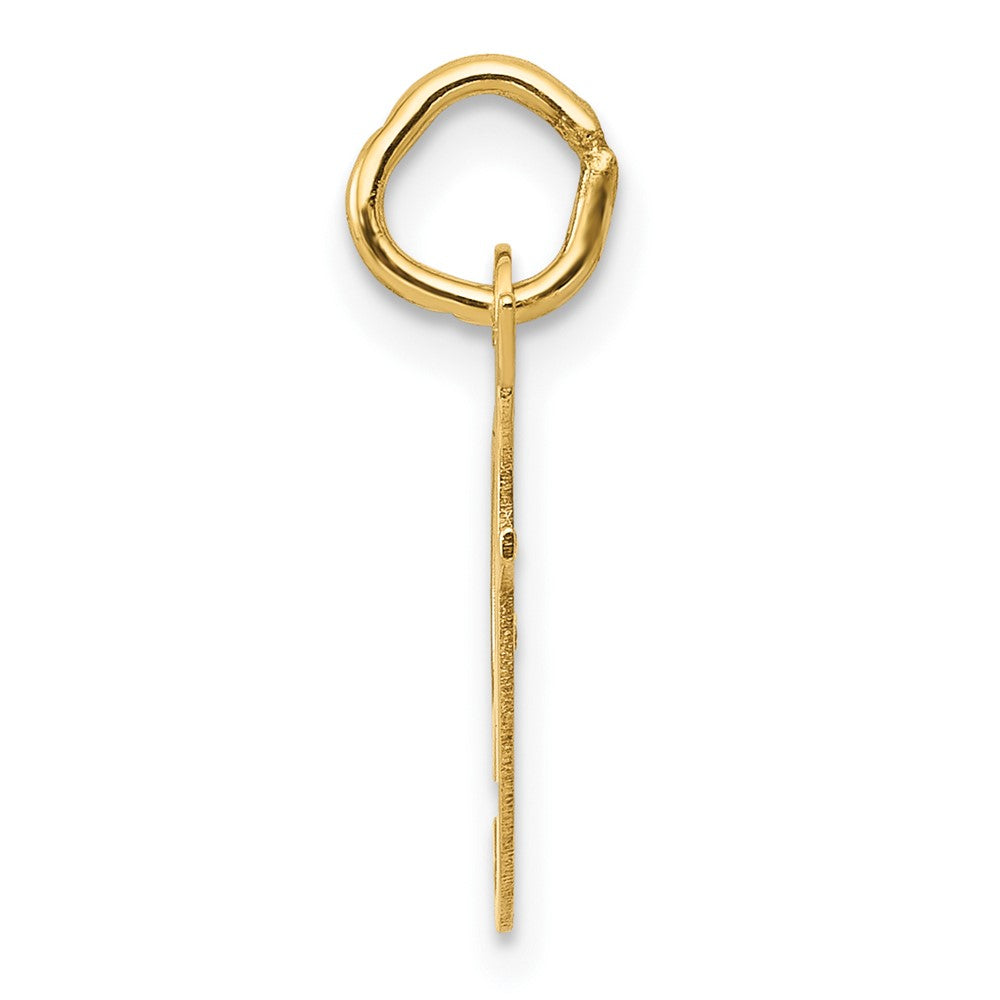 10K Medium Fancy Script Initial F Charm