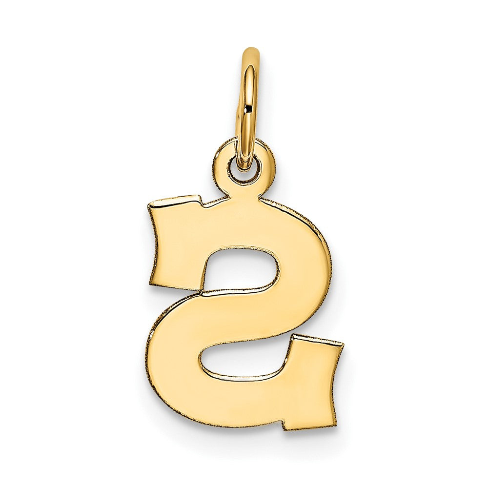 10k Small Block Initial S Charm