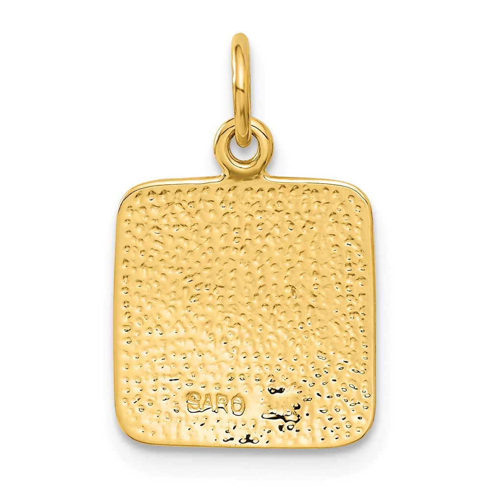 10k Satin & Diamond -cut Angel Charm