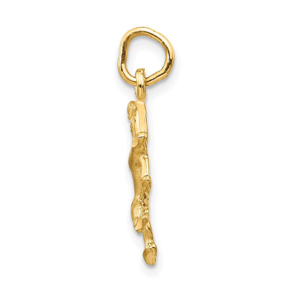 10k Leo Zodiac Charm