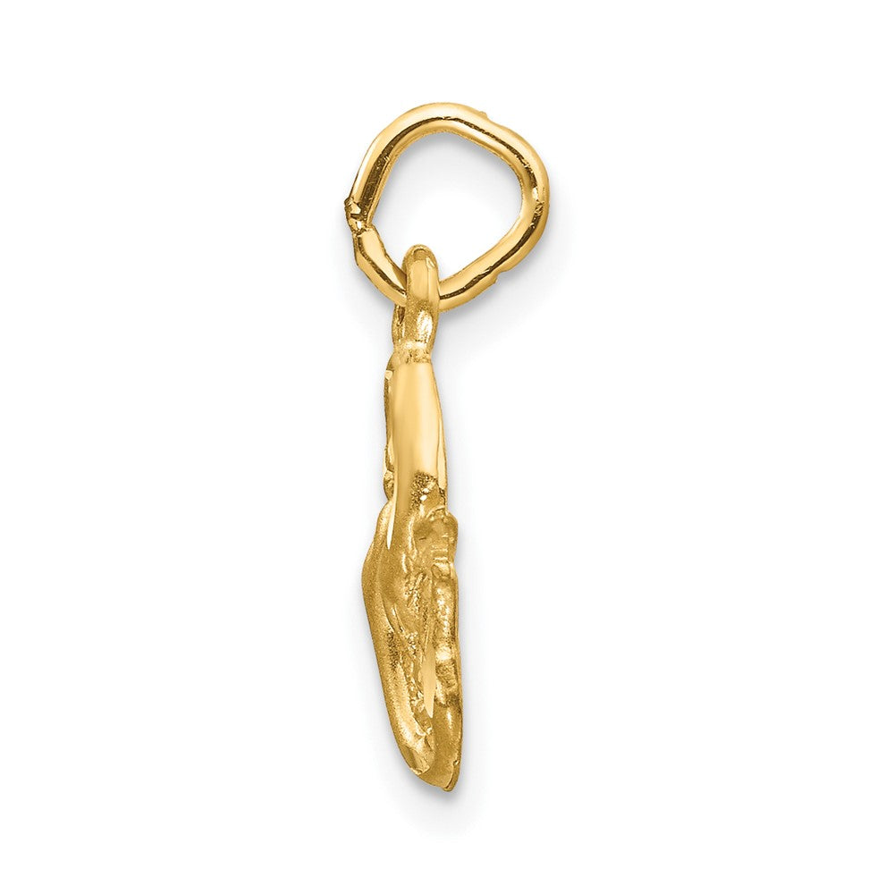 10k Pisces Zodiac Charm