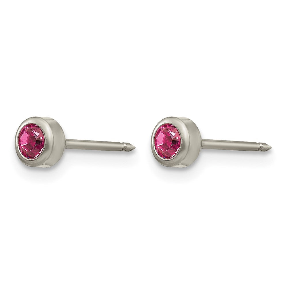 Inverness Titanium 4mm Rose Crystal Bezel Earrings