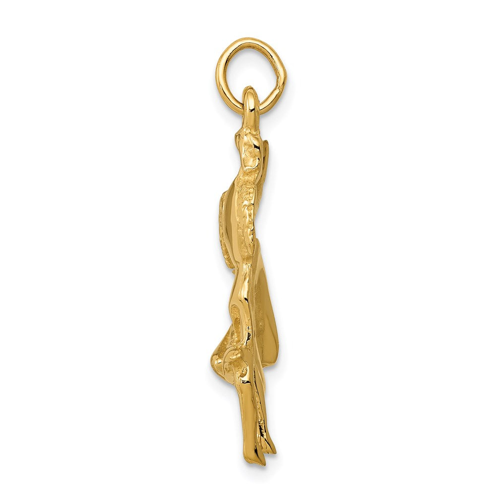 14k Matador Charm