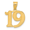 14k Polished Etched Number 19 Pendant