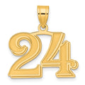 14k Polished Etched Number 24 Pendant