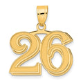 14k Polished Etched Number 26 Pendant