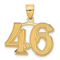 14k Polished Etched Number 46 Pendant