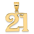 14k Polished Number 21 Pendant