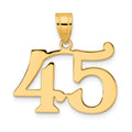 14k Polished Number 45 Pendant