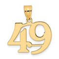 14k Polished Number 49 Pendant