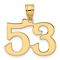 14k Polished Number 53 Pendant