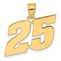 14k Polished Block Number 25 Pendant