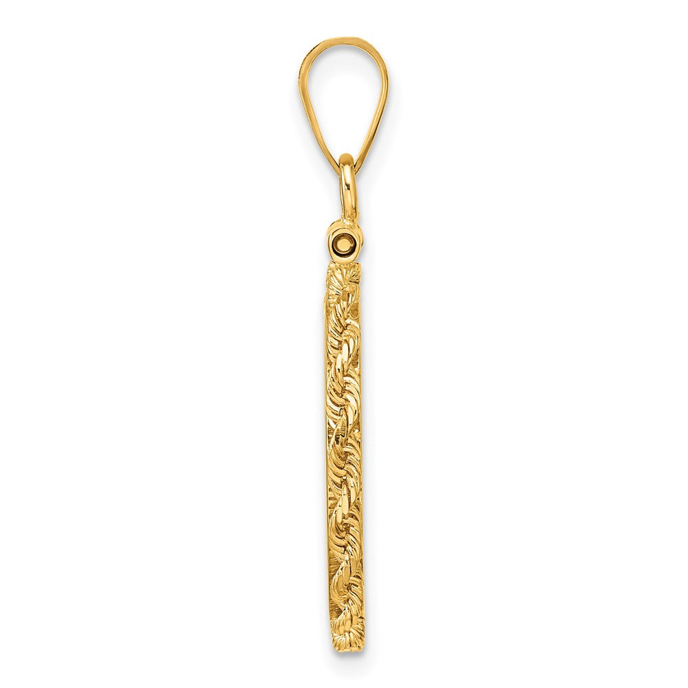 14k Polished Rope 16.5mm x 1.35mm Screw Top Coin Bezel Pendant