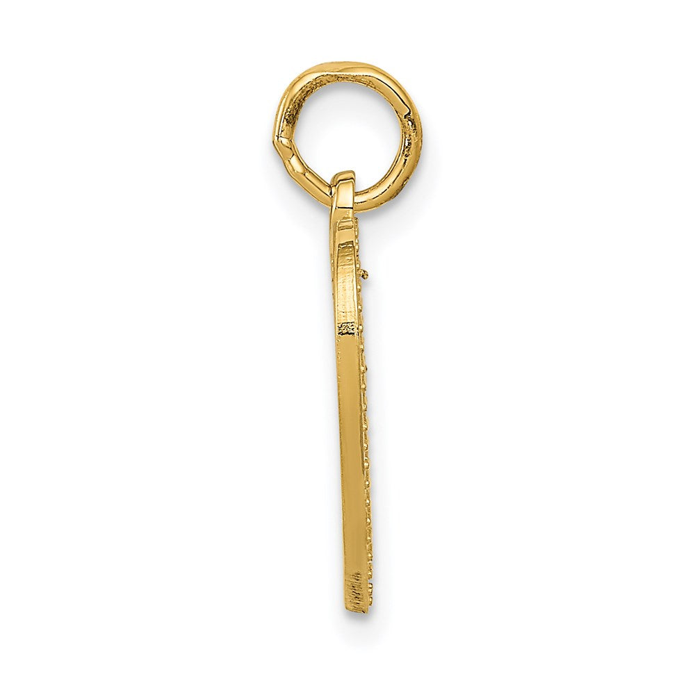 14k VERY SPECIAL SIS Charm