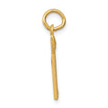 14k RN Nurse Charm