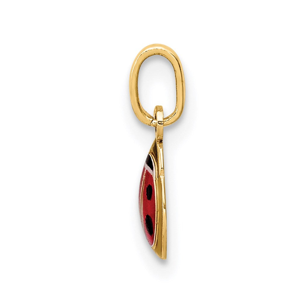 14K Enamel Ladybug Charm