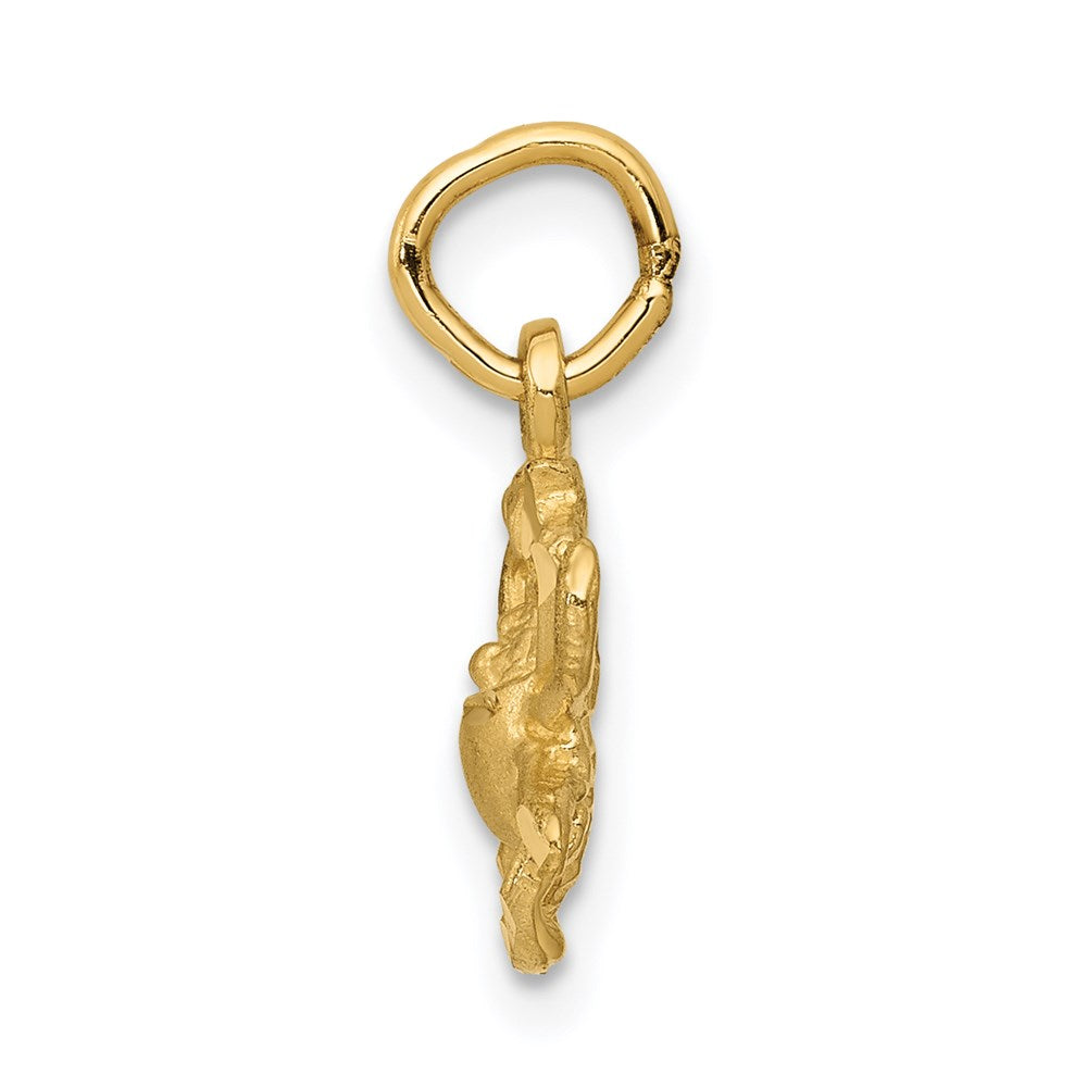 14k Satin Diamond-cut Cancer Zodiac Charm