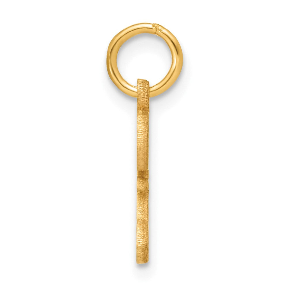 14k Initial Z Charm