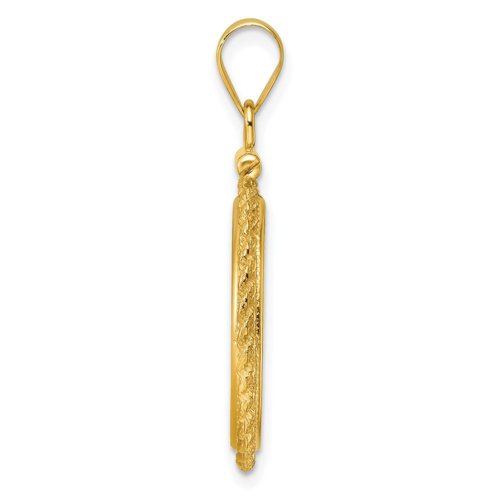 14k Casted Rope 18.0mm x 1.35mm Screw Top Coin Bezel Pendant