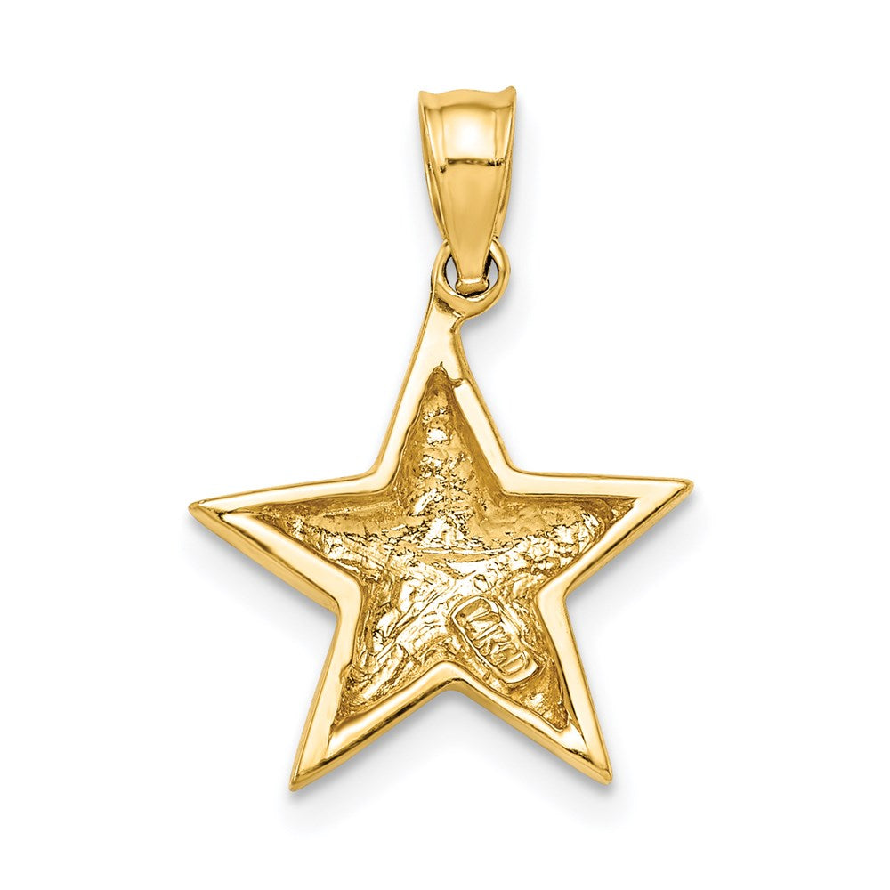 14k Polished Star Pendant