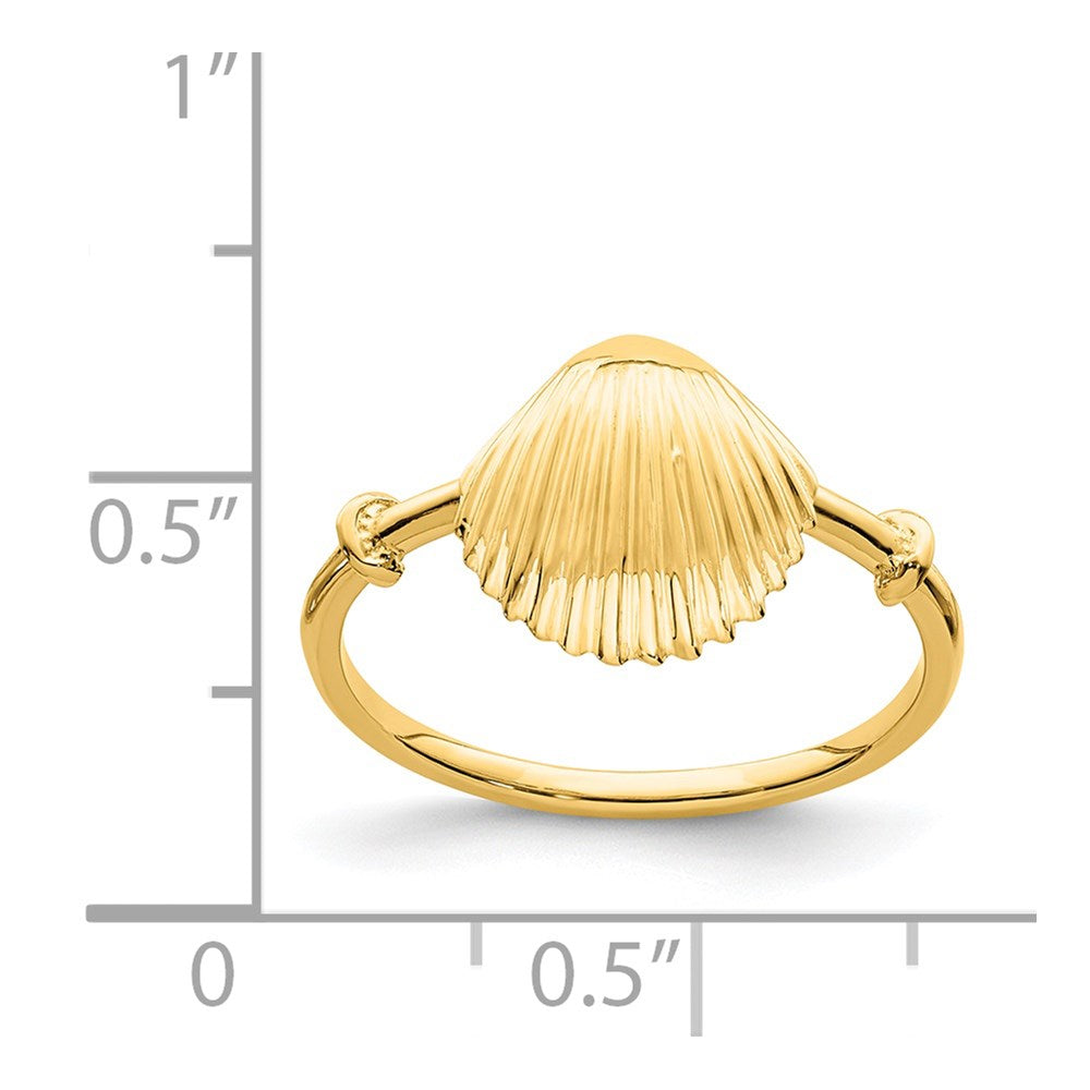 14K Polished Shell Ring