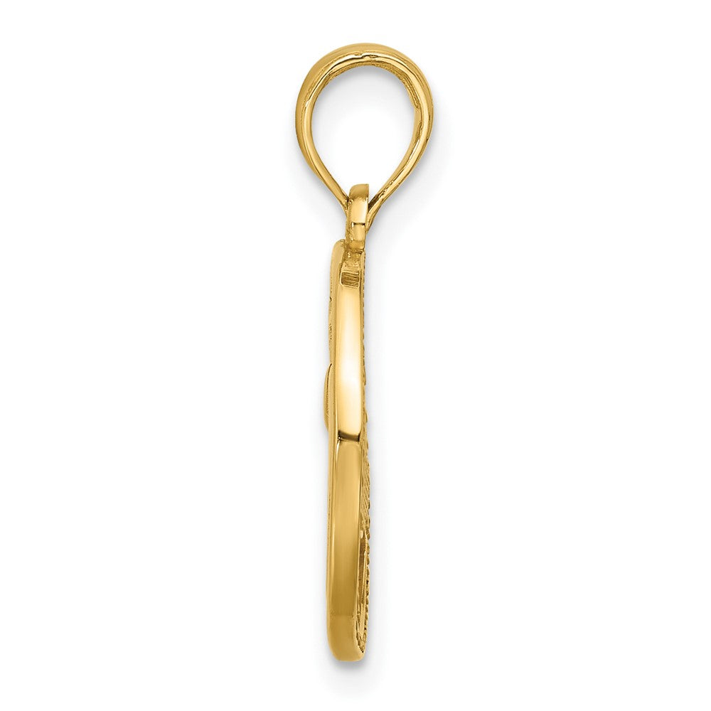 14K Polished Round Pisces Pendant