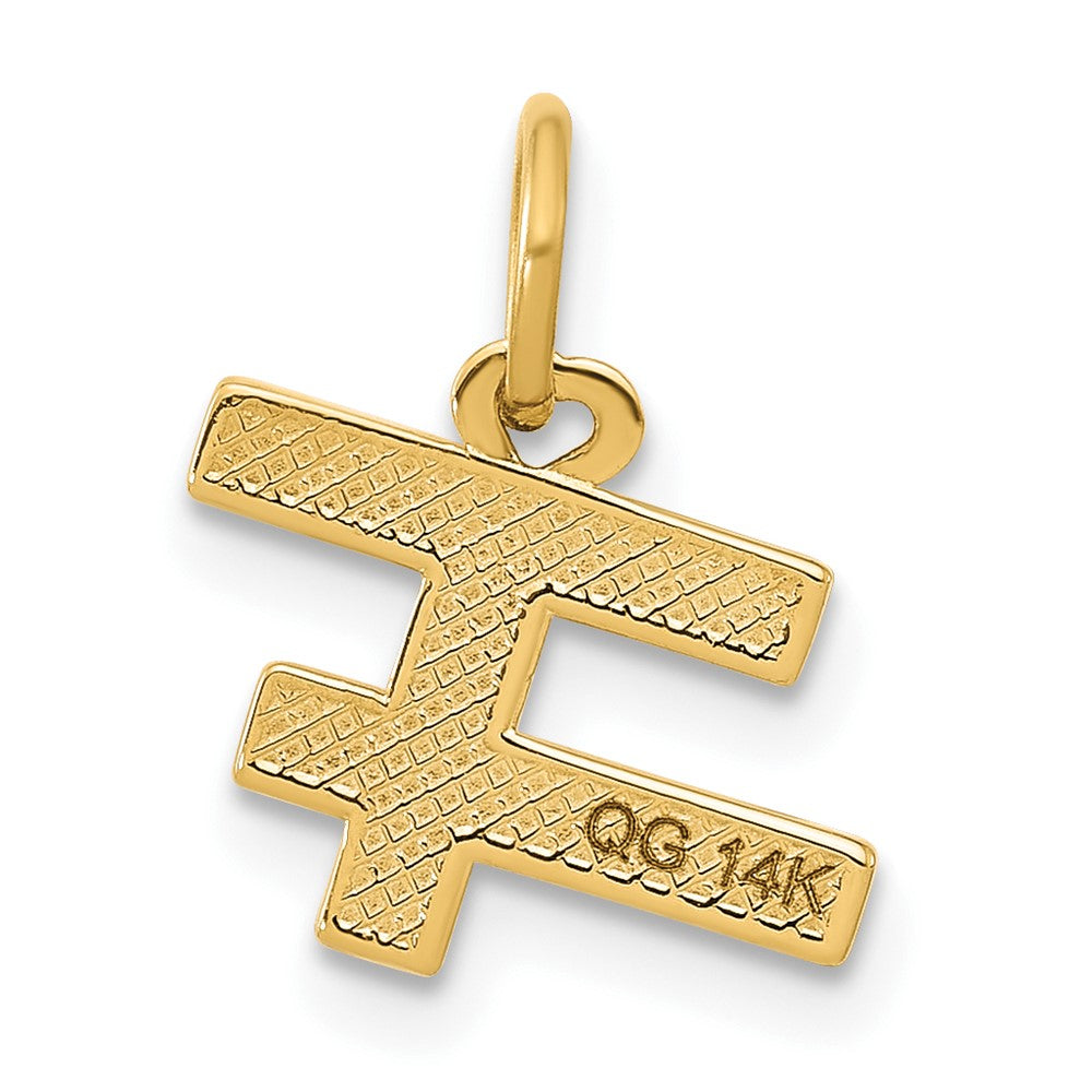 14k Fancy \GIRLS RULE WORLD"