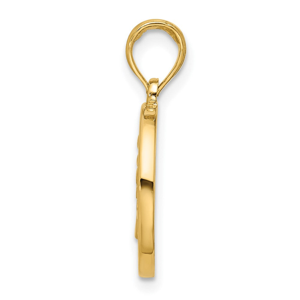14K Polished Round Leo Pendant