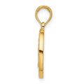14K Polished Round Leo Pendant
