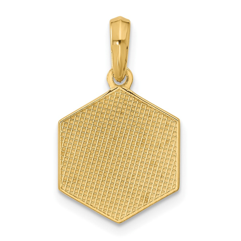 14K Polished D20 Twenty-sided Dice Pendant