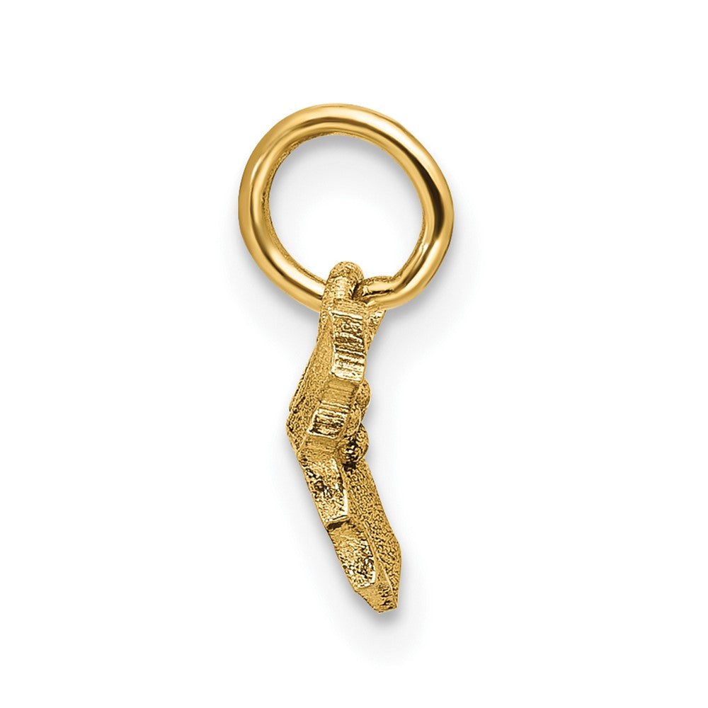 14K Polished Holly Pendant