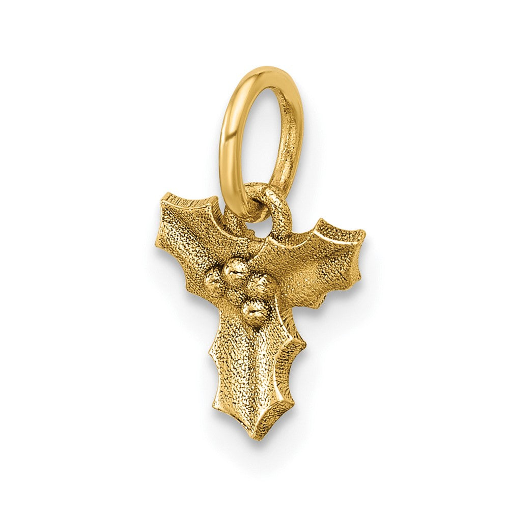 14K Polished Holly Pendant