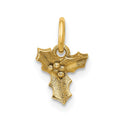 14K Polished Holly Pendant