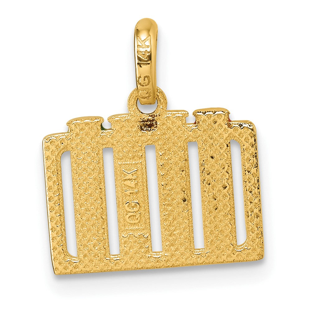 14K Polished Enameled Test Tubes Pendant