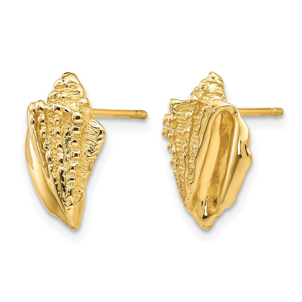 14k Conch Shell Earrings