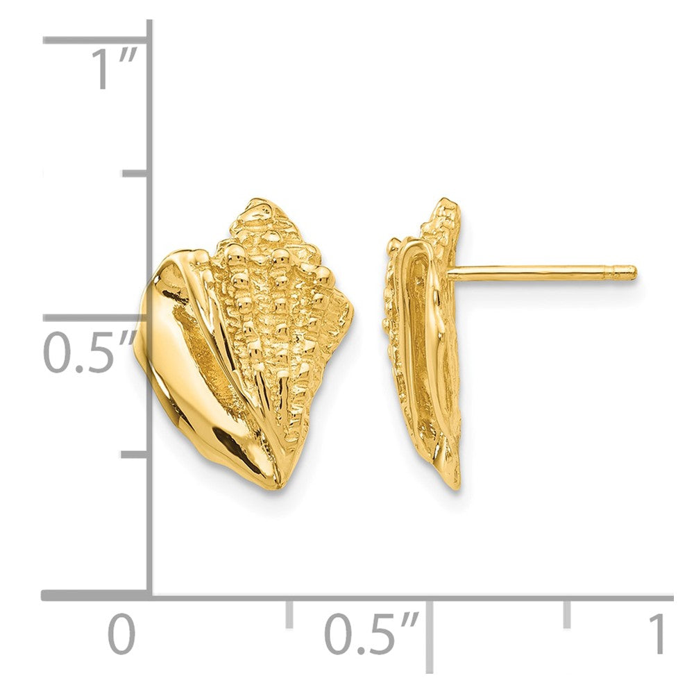 14k Conch Shell Earrings