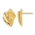 14k Conch Shell Earrings