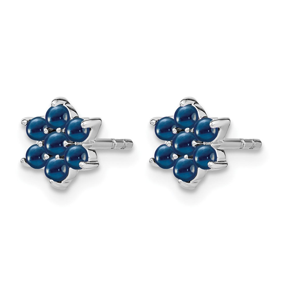 14k White Gold Sapphire Floral Post Earrings