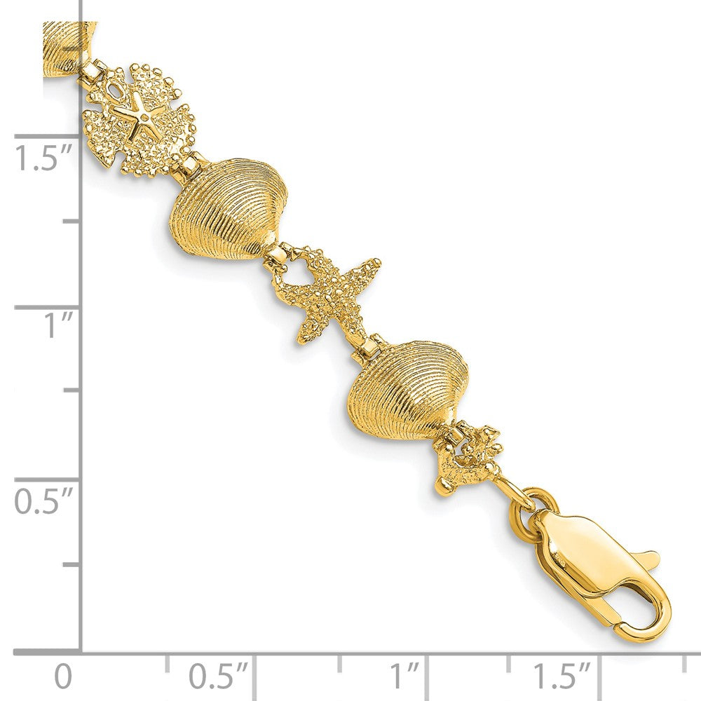14K Sand Dolloar, Clam, Starfish Bracelet
